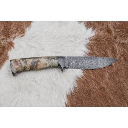 Exklusiv Damaskus kniv 13 cm Kastanjeträd