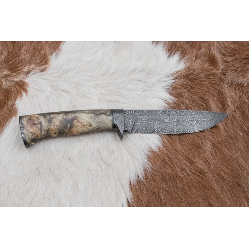 Exklusiv Damaskus kniv 13 cm Kastanjeträd