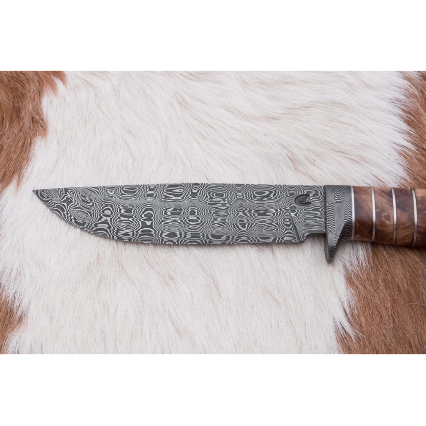 Exklusiv Damaskus kniv 14,4 cm Kastanjeträd/mammuttand