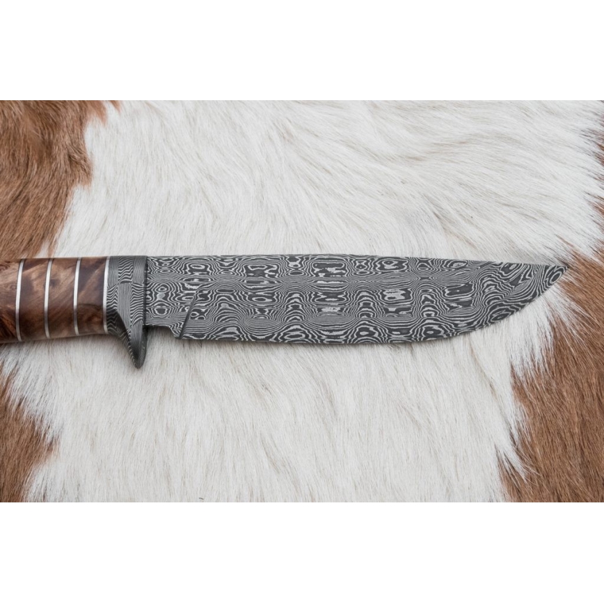 Exklusiv Damaskus kniv 14,4 cm Kastanjeträd/mammuttand