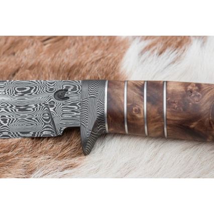 Exklusiv Damaskus kniv 14,4 cm Kastanjeträd/mammuttand