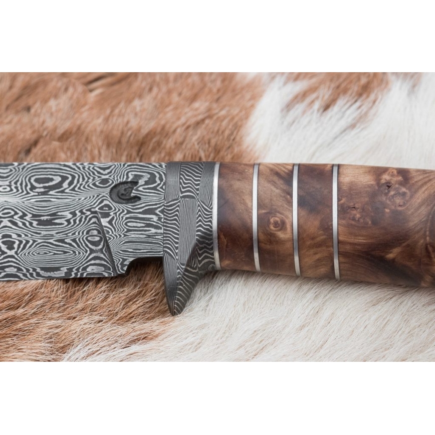 Exklusiv Damaskus kniv 14,4 cm Kastanjeträd/mammuttand