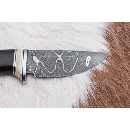 Exklusiv Damaskus kniv 8,6 cm ek/kamelben