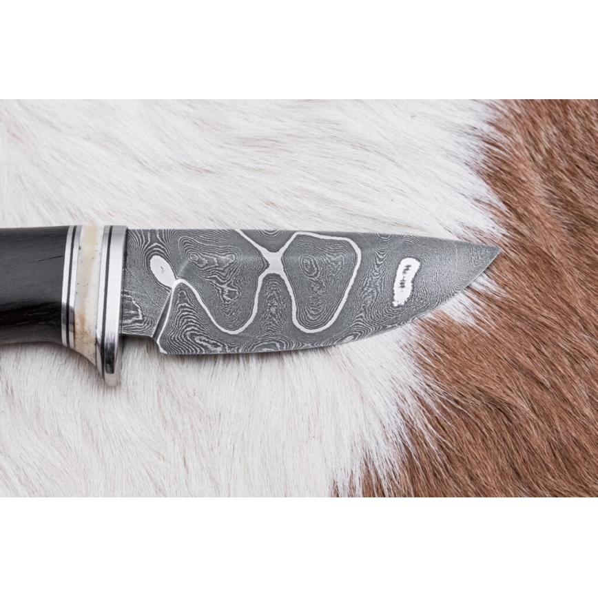 Exklusiv Damaskus kniv 8,6 cm ek/kamelben