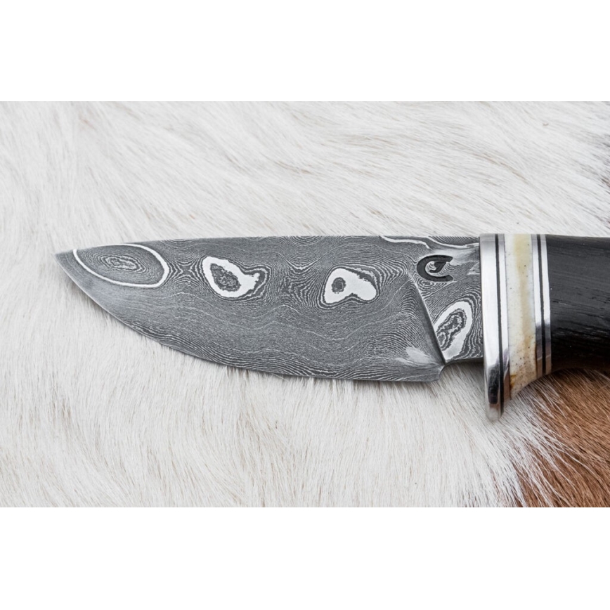Exklusiv Damaskus kniv 8,6 cm ek/kamelben