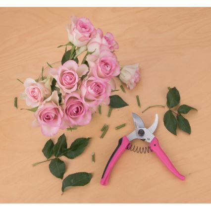 Extol - Trädgårdssax för blommor 180 mm