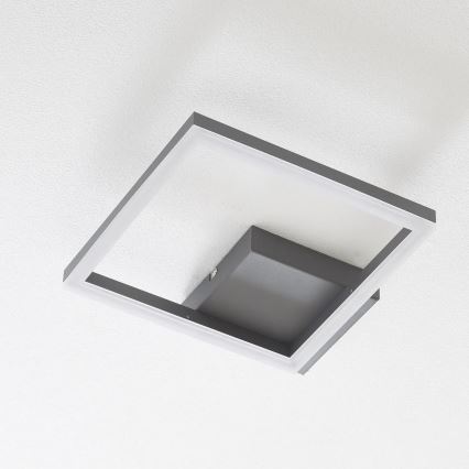 Fabas Luce 3394-21-282 - LED Dimbar taklampa BARD LED/22W/230V 3000K antracit