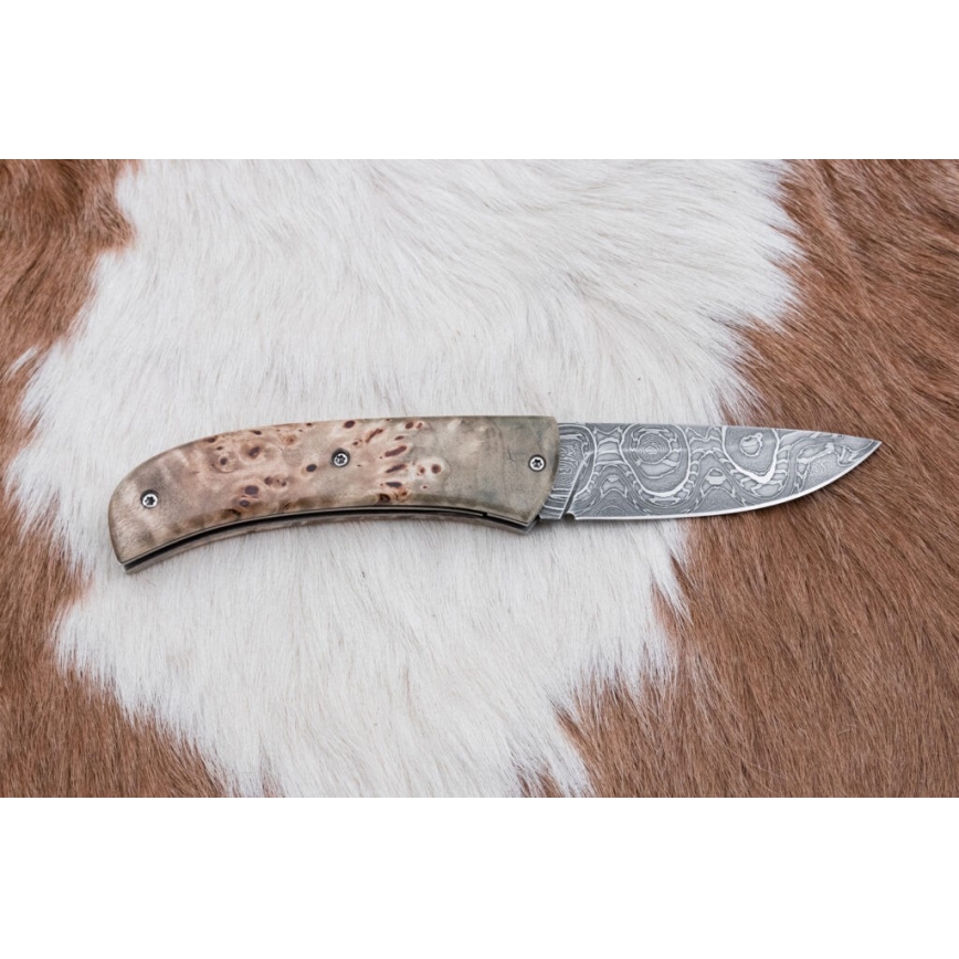 Fällbar Damaskus kniv 8,5 cm lindsläktet