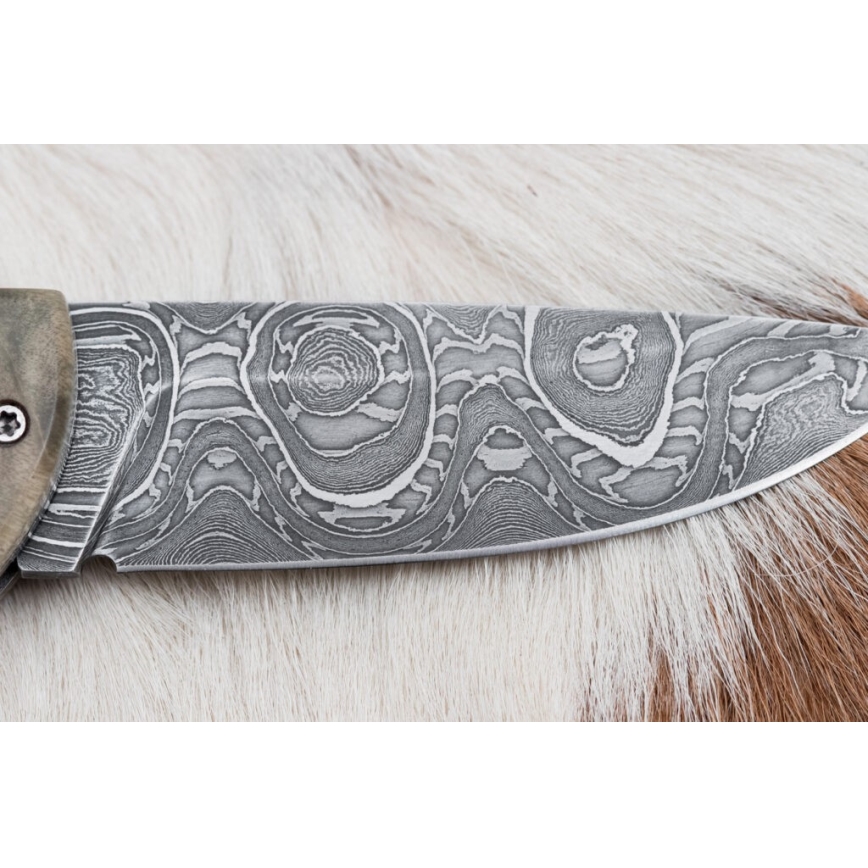 Fällbar Damaskus kniv 8,5 cm lindsläktet