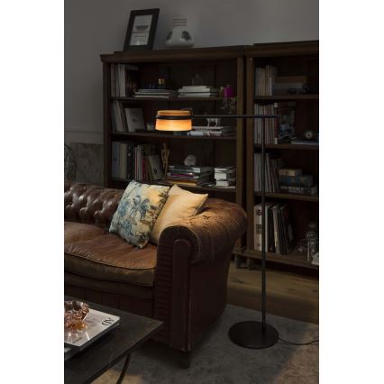 FARO 29569 - LED Dimbar touch Golvlampa LOOP LED/6W/230V