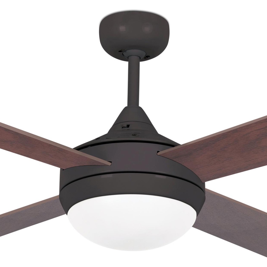 FARO 33702 - Takfläkt IBilIA med en Fjärrkontroll  2xE27/20W/230V brun
