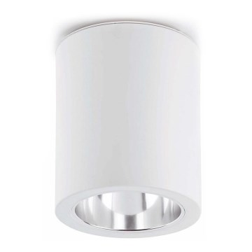 FARO 63124 - Takbelysning POTE 1xE27/60W/230V