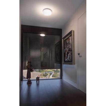 FARO 63291 - LED Utomhus Dimbar Takbelysning ZON LED/18W/230V IP54