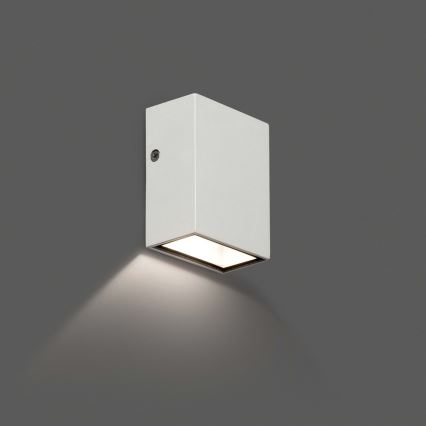 FARO 70567N - LED Utomhus Väggbelysning CANON LED/4W/230V IP44
