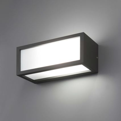 FARO 70573 - Utomhus Väggbelysning TEJO 1xE27/20W/230V IP54