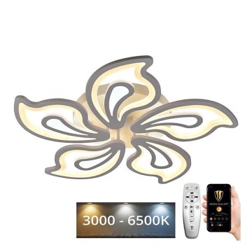 Fäst LED ljusreglerad ljuskrona LED/125W/230V 3000-6500K + fjärrkontroll
