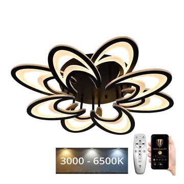 Fäst LED ljusreglerad ljuskrona LED/125W/230V 3000-6500K + fjärrkontroll