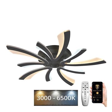 Fäst LED ljusreglerad ljuskrona LED/55W/230V 3000-6500K + fjärrkontroll