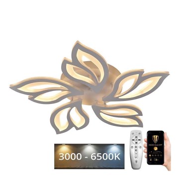 Fäst LED ljusreglerad ljuskrona LED/65W/230V 3000-6500K + fjärrkontroll