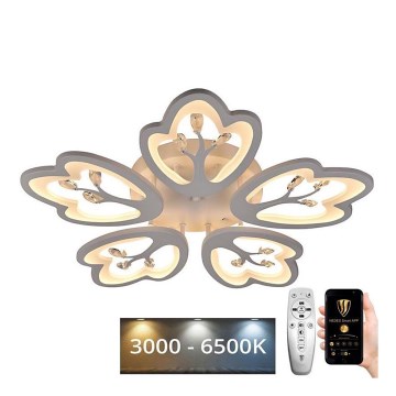 Fäst LED ljusreglerad ljuskrona LED/80W/230V 3000-6500K + fjärrkontroll