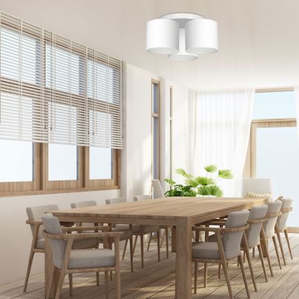 Fäst ljuskrona ARDEN 3xE27/60W/230V vit