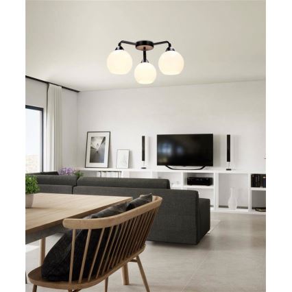 Fäst ljuskrona CALDERA 3xE27/60W/230V svart