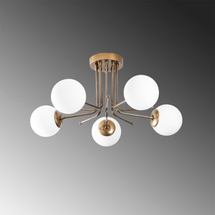Fäst ljuskrona DAISY 5xE27/40W/230V