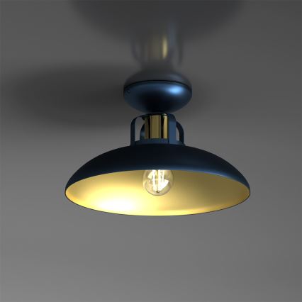 Fastsatt Ljuskrona  FELIX 1xE27/60W/230V blå 