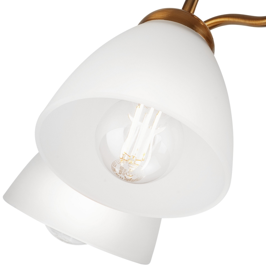 Fäst ljuskrona MIRANDA 1xE27/60W/230V gold