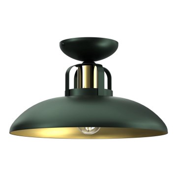 Fastsatt Ljuskrona  FELIX 1xE27/60W/230V grön