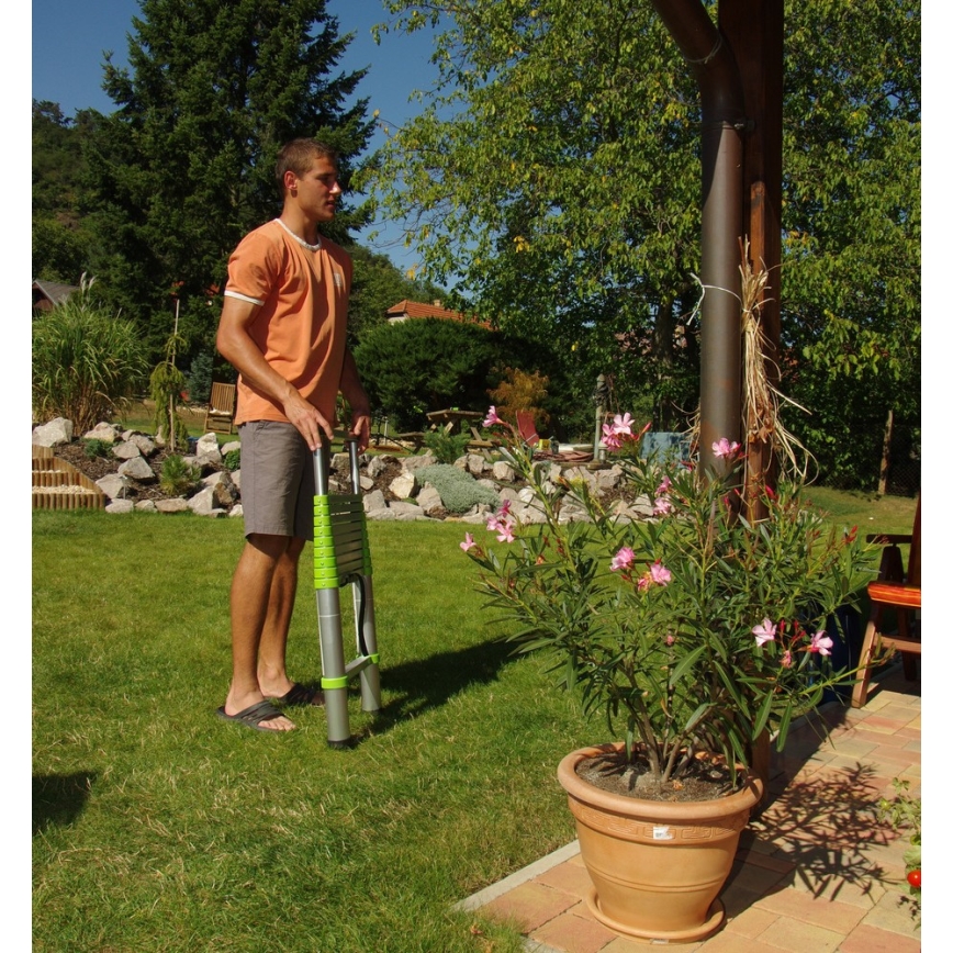 Fieldmann - Teleskopisk stege 3,8 m