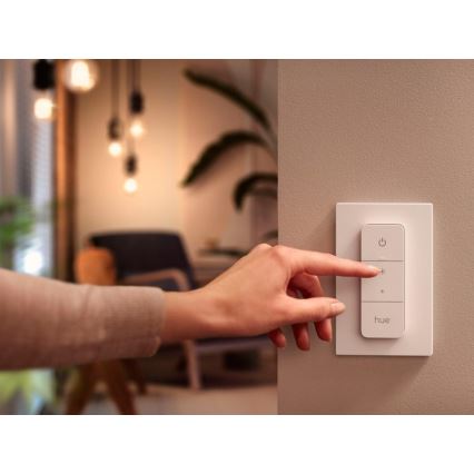 Fjärrkontroll  Philips Hue SWITCH V2 1xCR2032