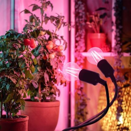 Flexibel bordslampa med klämma för att odla växter PLANTY 2xE27/30W/230V svart