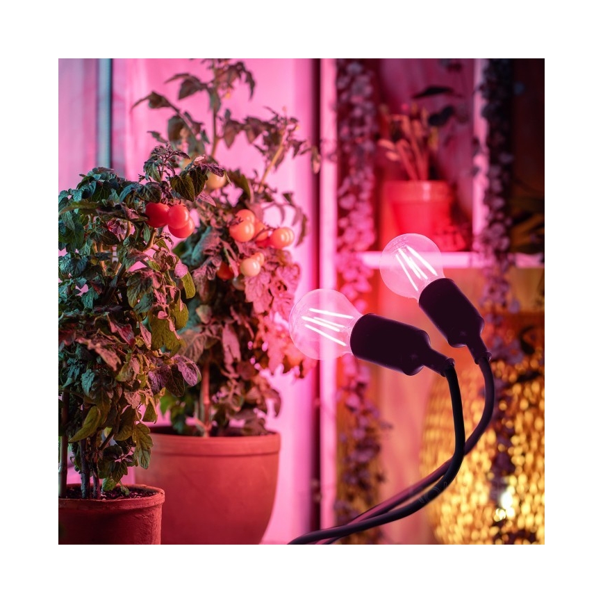 Flexibel bordslampa med klämma för att odla växter PLANTY 2xE27/30W/230V svart