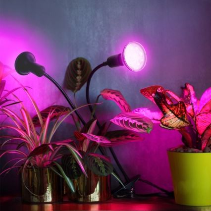 Flexibel bordslampa med klämma för att odla växter PLANTY 2xE27/30W/230V svart