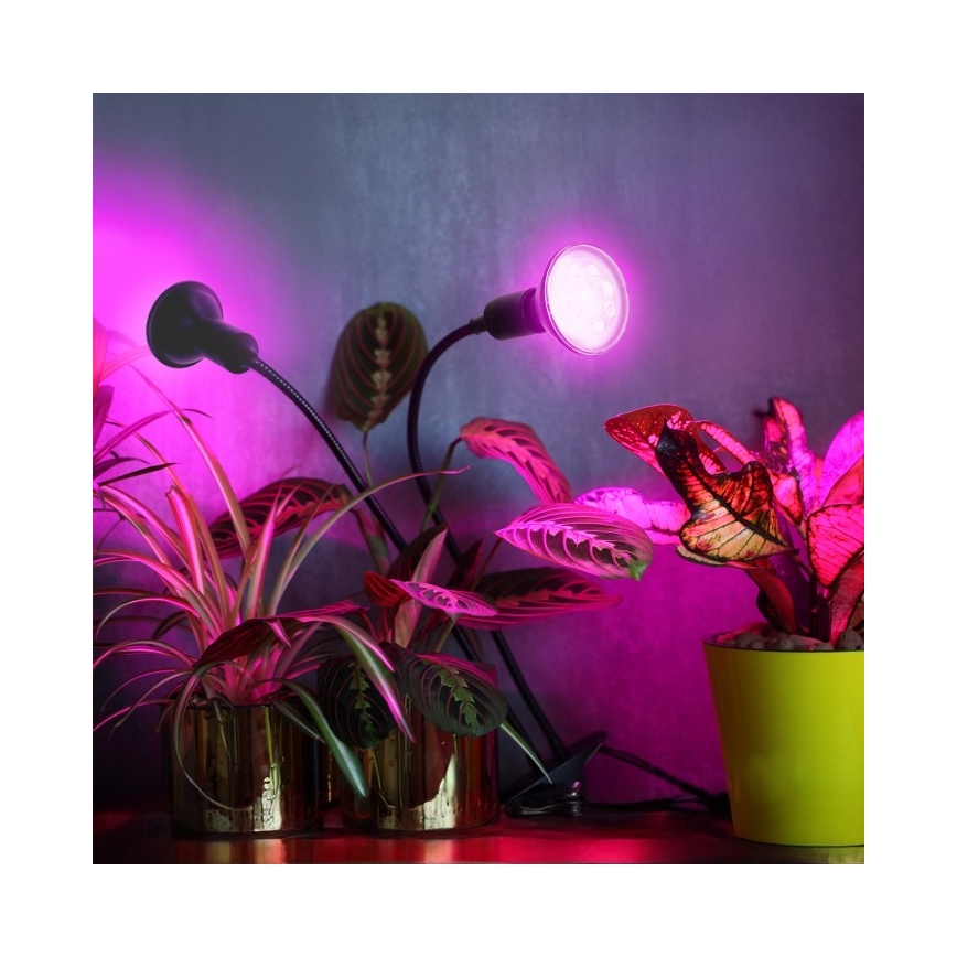 Flexibel bordslampa med klämma för att odla växter PLANTY 2xE27/30W/230V svart