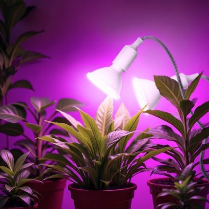 Flexibel bordslampa med klämma för att odla växter PLANTY 2xE27/30W/230V vit