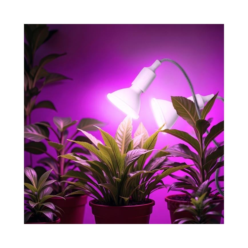 Flexibel bordslampa med klämma för att odla växter PLANTY 2xE27/30W/230V vit