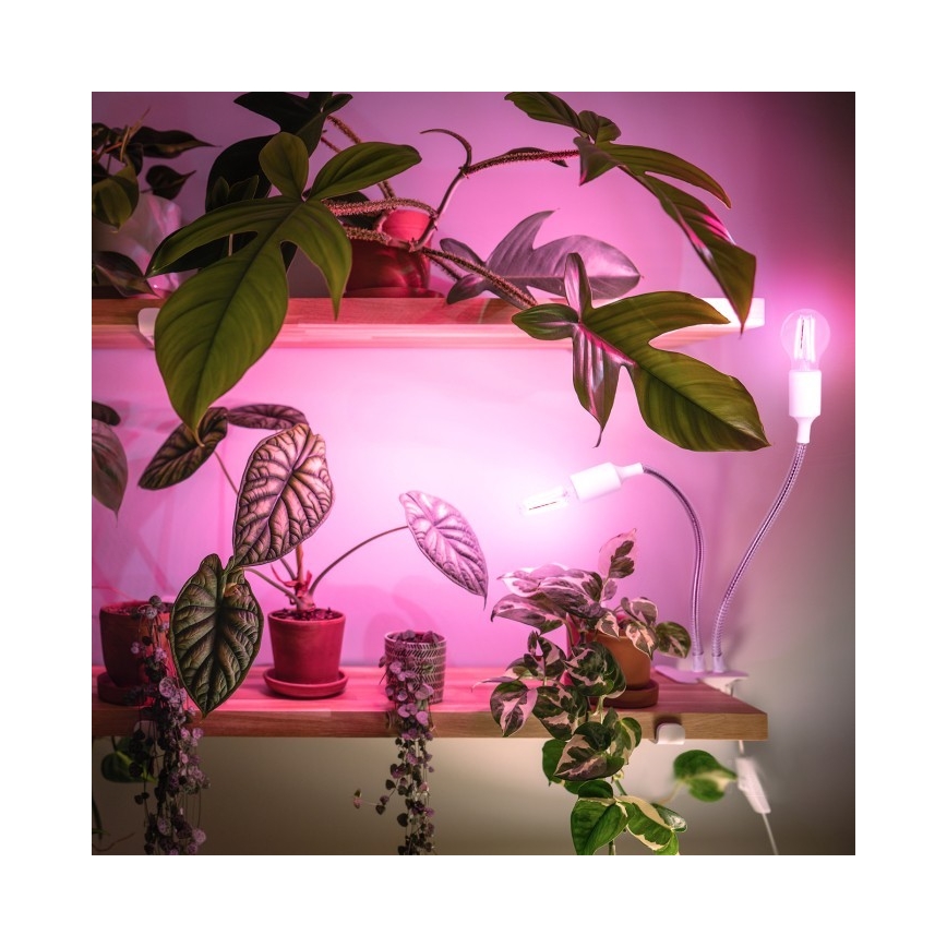 Flexibel bordslampa med klämma för att odla växter PLANTY 2xE27/30W/230V vit