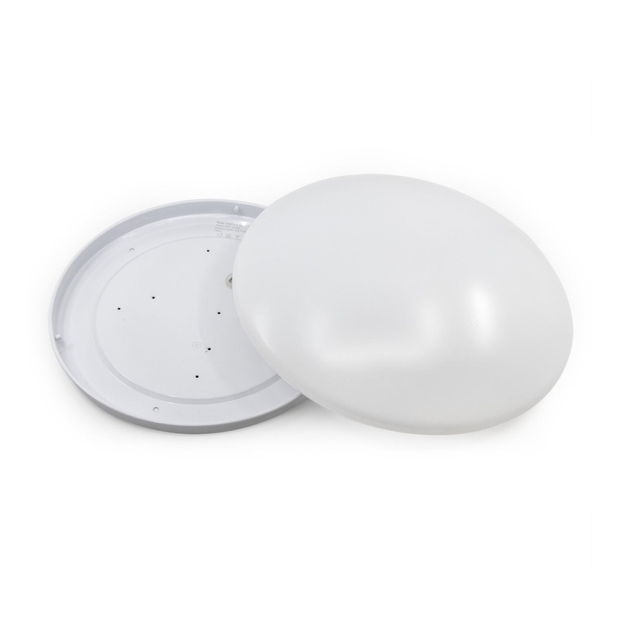 Fulgur 23660 - Bas ANETA-S