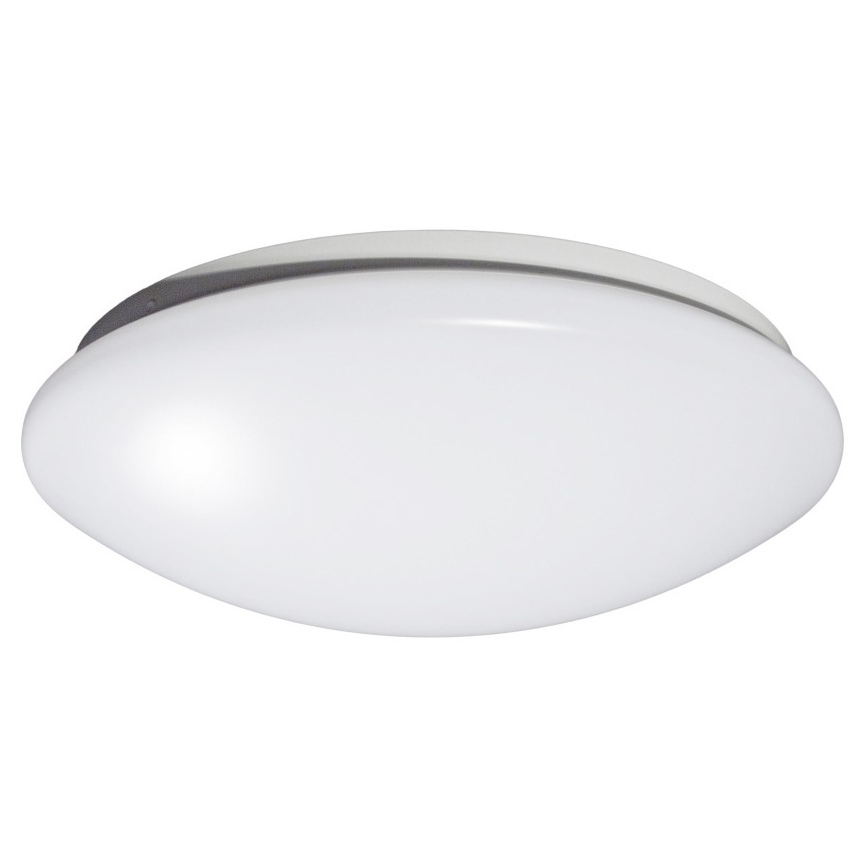 Fulgur 23660 - Bas ANETA-S