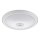 Fulgur 24120 - LED Takbelysning med sensor DARINA LED/12W/230V