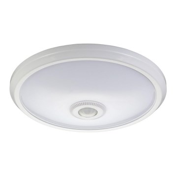 Fulgur 27418 - LED Takbelysning med sensor DARINA LED/12W/230V