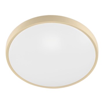 Fulgur 27480 - Ram med diffusor för taklampa VERA 420 GOLD