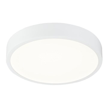 Globo 12364-22 - LED Dimbar Badrumsbelysning LED/22W/230V IP44