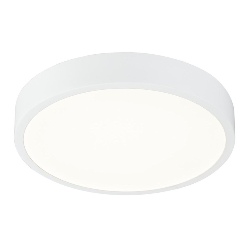 Globo 12364-22 - LED Dimbar Badrumsbelysning LED/22W/230V IP44