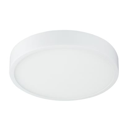 Globo 12364-22 - LED Dimbar Badrumsbelysning LED/22W/230V IP44