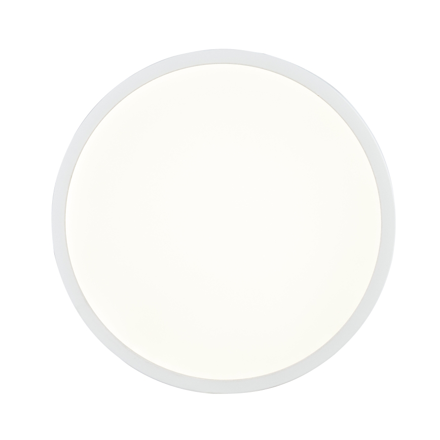 Globo 12364-22 - LED Dimbar Badrumsbelysning LED/22W/230V IP44