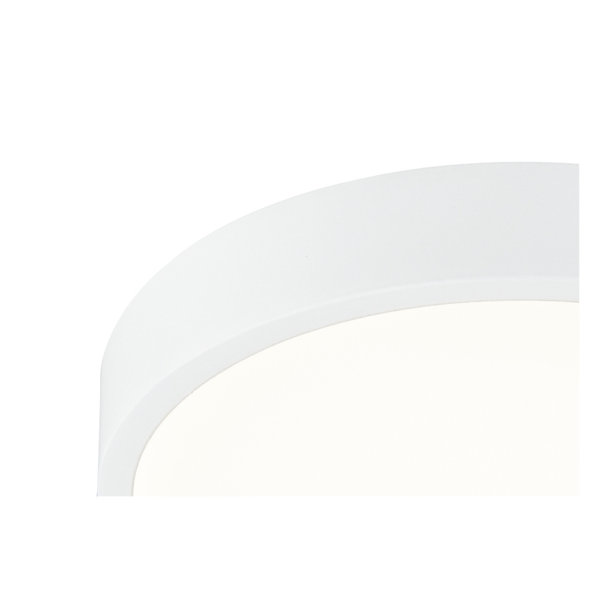 Globo 12364-22 - LED Dimbar Badrumsbelysning LED/22W/230V IP44