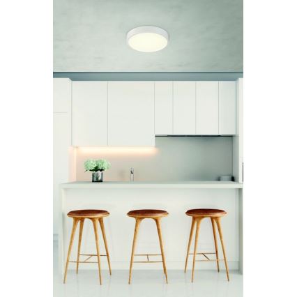 Globo - LED dimbar taklampa LED/22W/230V